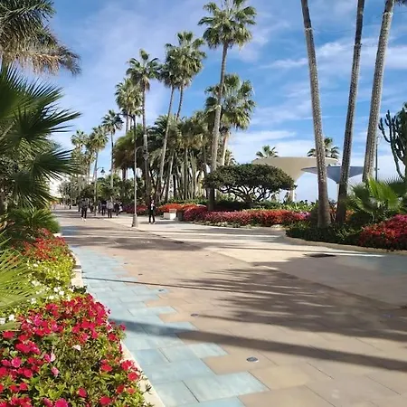 Luxurious South-facing 2 Bdr Penthouse Vanian Gardens With Seaview - Gaya Alegia I Apartment *